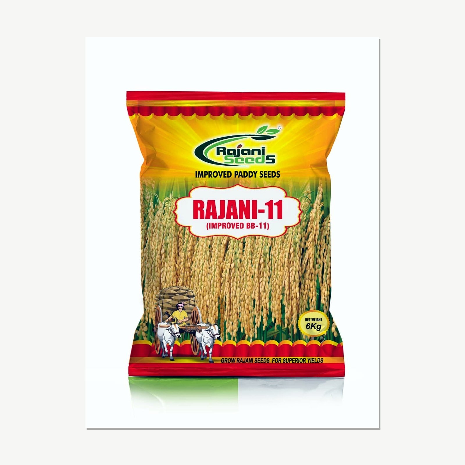 Rajani 11